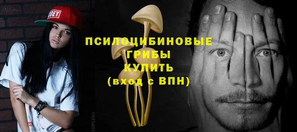 прущие грибы Беломорск