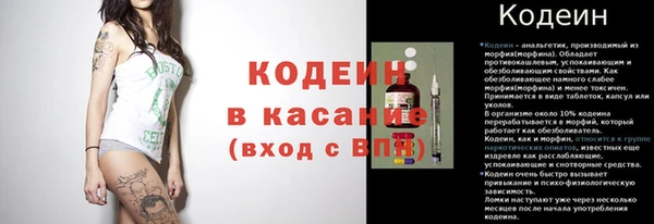 прущие грибы Беломорск