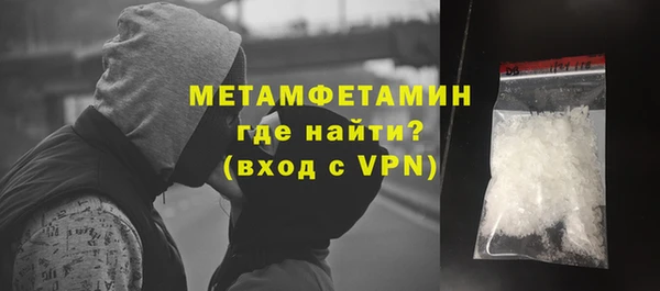 прущие грибы Беломорск