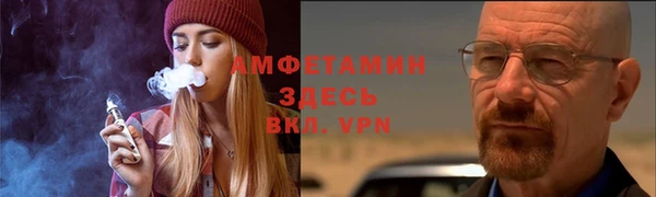 прущие грибы Беломорск