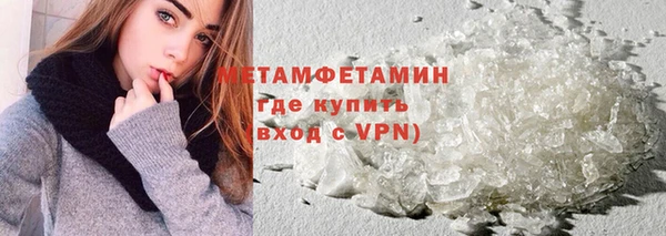 прущие грибы Беломорск