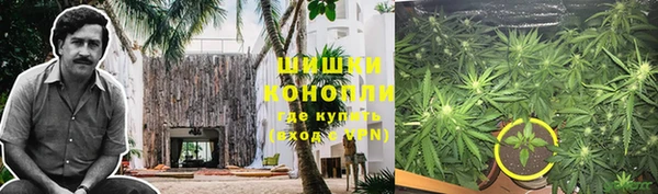 MDMA Белокуриха