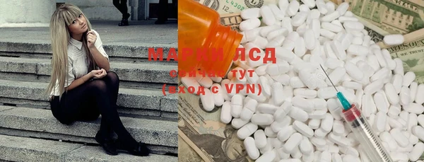 прущие грибы Беломорск