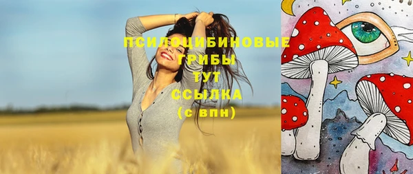 прущие грибы Беломорск