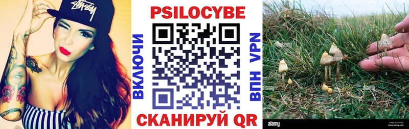 Галлюциногенные грибы Cubensis  Пикалёво 